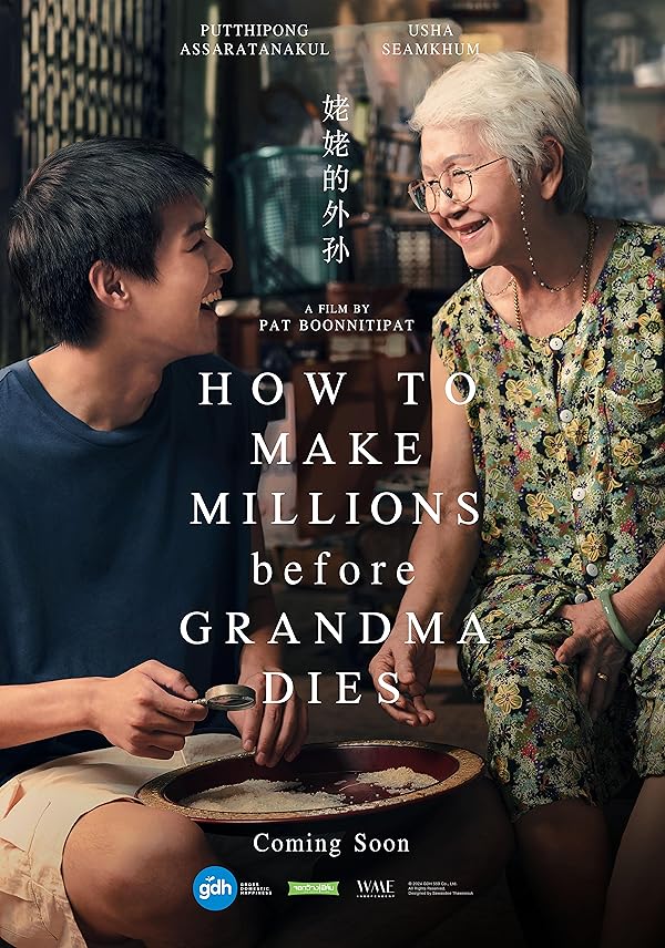 دانلود فیلم How to Make Millions Before Grandma Dies 2024 دانلود فیلم How to Make Millions Before Grandma Dies 2024