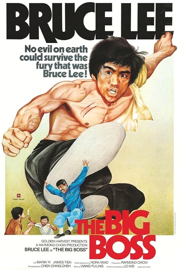 دانلود فیلم The Big Boss 1971 دانلود فیلم The Big Boss 1971