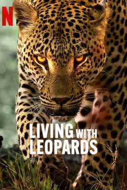 دانلود مستند Living with Leopards 2024