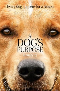 دانلود فیلم A Dog’s Purpose 2017