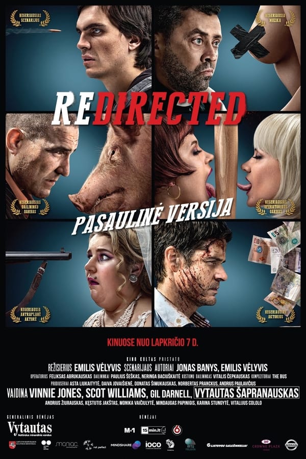 دانلود فیلم Redirected 2014 دانلود فیلم Redirected 2014