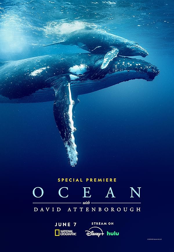 دانلود مستند Ocean with David Attenborough 2025 دانلود مستند Ocean with David Attenborough 2025