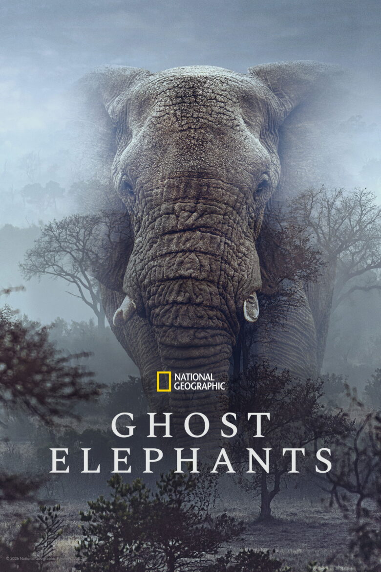 دانلود مستند Ghost Elephants 2025 دانلود مستند Ghost Elephants 2025